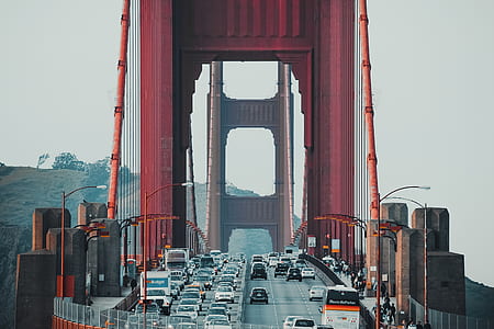 closeup photography of Golden Gate Bridge, New York thumbnail