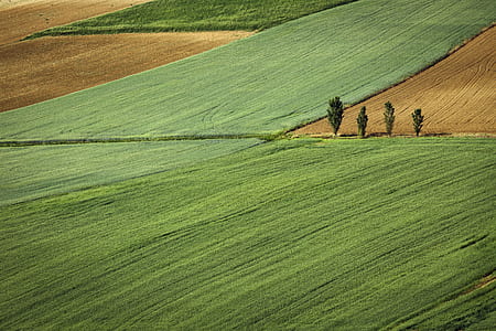 green field thumbnail