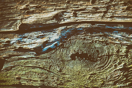 Close up texture shot of old wood details, image captured in Cornwall, England with a Canon 5D DSLR thumbnail