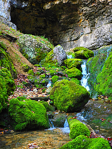 river cascading between grass at daytime photo thumbnail