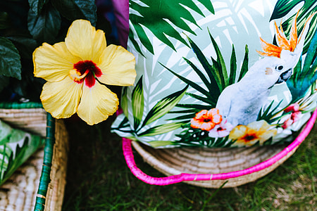 Exotic Garden Party Decorations thumbnail