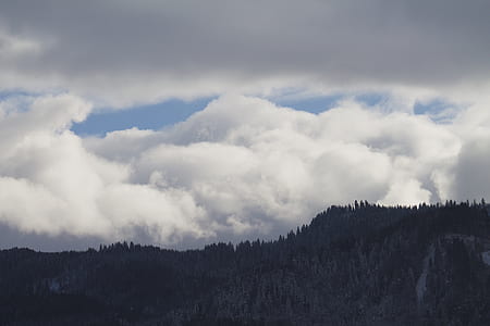 landscape, nature, clouds, trees thumbnail