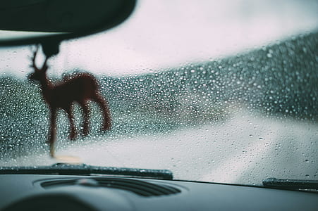window, water, road, car thumbnail