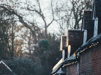 brown concrete house surrounded by trees thumbnail