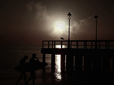 silhouette of two person holding a surfboard thumbnail