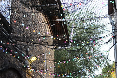 ball string lights with nets during daytime thumbnail