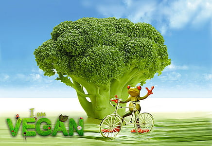 green frog with bike digital wallpaper thumbnail