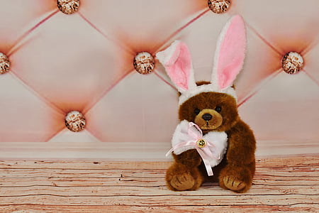 brown bear plush toy thumbnail