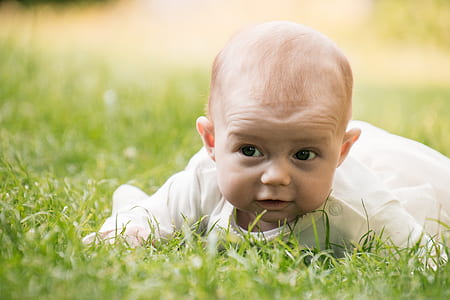 baby lying on green grass field during daytime thumbnail