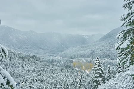 snow mountain during winter thumbnail