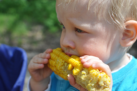 boy in blue crew-neck sweater eating steamed corn during daytime thumbnail
