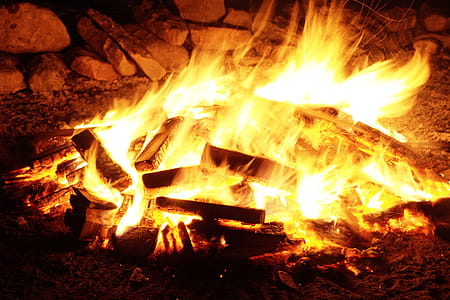Bon Fire With Firewood Lot thumbnail