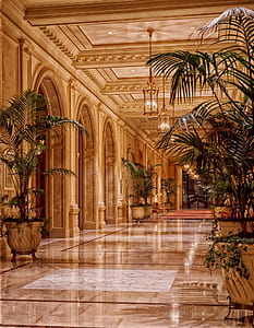 lights, architecture, plants, lighting thumbnail