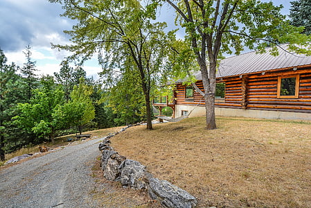 shed surrounded trees thumbnail
