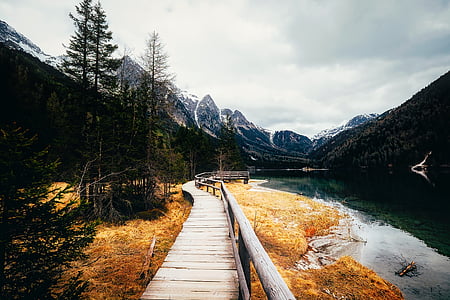 photo of dock near tree thumbnail