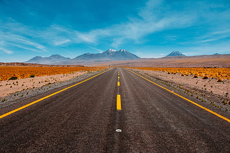 gray concrete road between steppe thumbnail