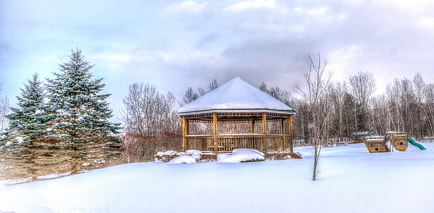 brown wooden gazebo surrounded by pine trees taken at daytime thumbnail
