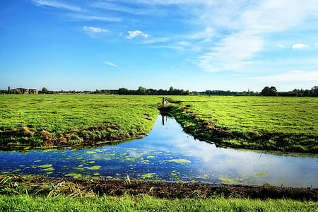 landscape photography of green grass field thumbnail