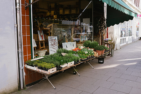 Flower shop thumbnail