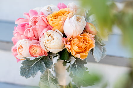 pink, white and orange rose in white ceramic vase thumbnail
