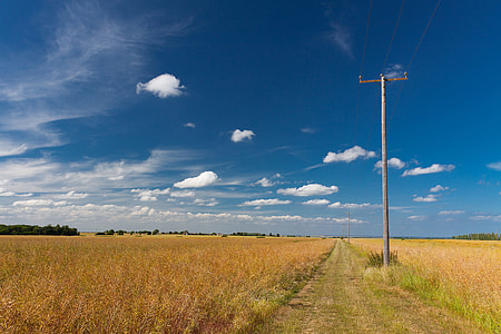 Landscape photo of an English field in the summer, shot taken in Kent, England with a Canon DSLR thumbnail