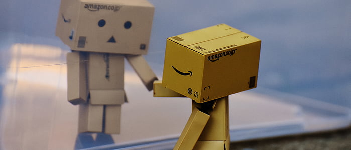 close-up photo of Amazon Danbo thumbnail