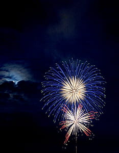 Blue and Red Brocade Fireworks at Night thumbnail
