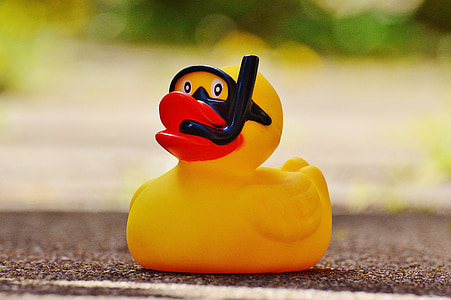 bokeh photo of yellow duck toy thumbnail