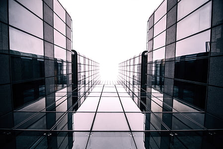 low-angle photo of high-rise buildings thumbnail