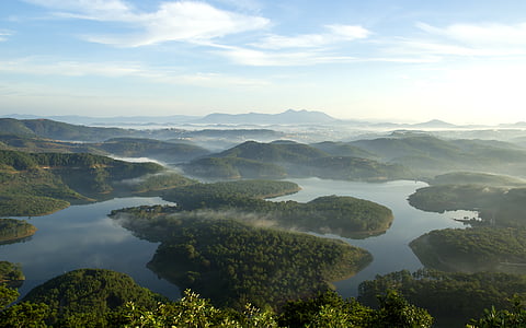 landscape photo of forest beside body of water thumbnail