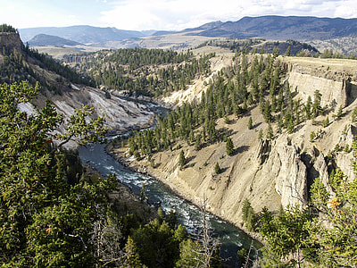 River, Yellowstone National Park thumbnail