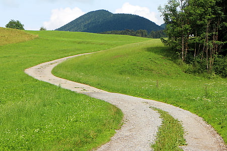 brown concrete pathway surrounded by green thumbnail