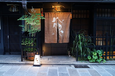 shop between green leafed plants during daytime thumbnail