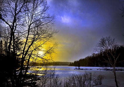 silhouette photo of trees near body of water thumbnail