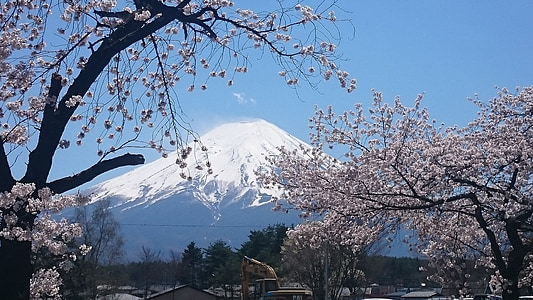 mountain covered with snow thumbnail