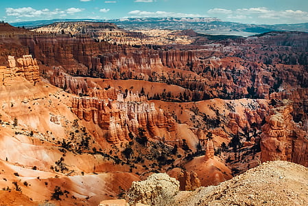 landscape photography of oasis during daytime thumbnail