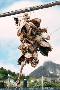Dried cod heads thumbnail