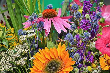 assorted flowers in close up photography thumbnail