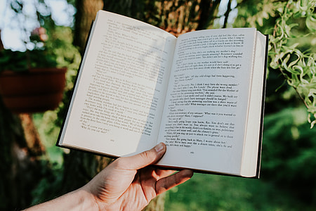 Man reading a book outdoors thumbnail
