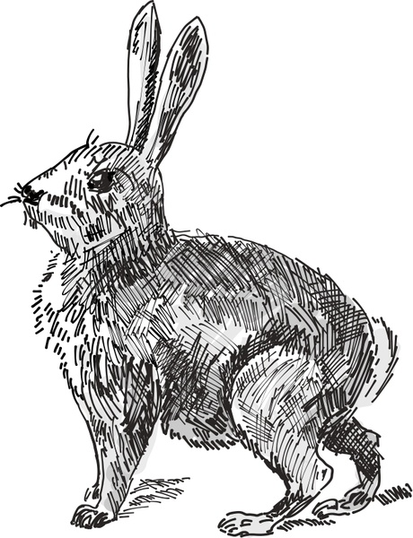 Rabbit Svg File Free Graphics Uihere