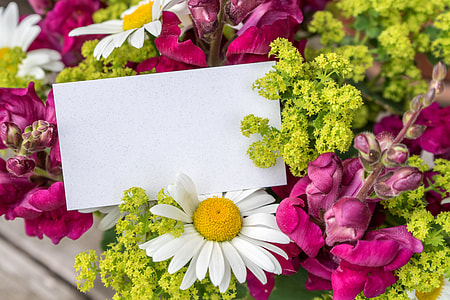 assorted-color petaled flowers thumbnail