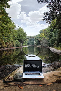 MacBook Pro on driftwood beside river thumbnail