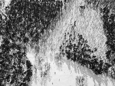 top view of trees on snow road thumbnail