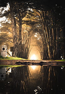 road between body of water and trees photo thumbnail