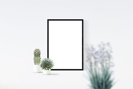 two green leafed plant with white pots thumbnail