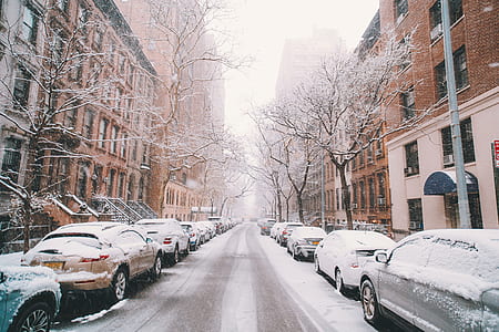 assorted parked car covered by snow between concrete buildings at daytime thumbnail