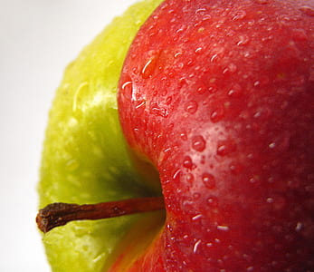 close up photo of apple thumbnail