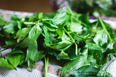 Different kinds of fresh herbs thumbnail