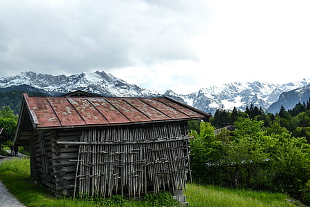 wooden house surrounded with trees thumbnail