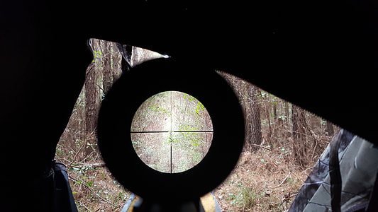 photo of scope pointing trees thumbnail